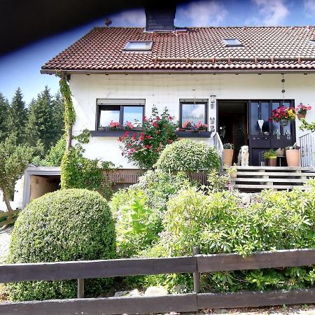 Ferienwohnung Anemone mit Bergblick Braunlage Exterior foto